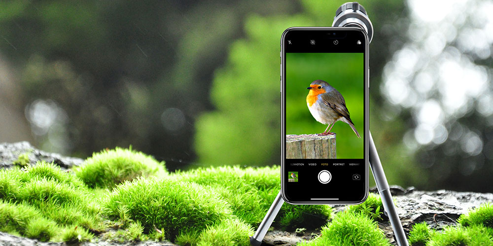 A phone using a tripod and lens, with an image of a bird