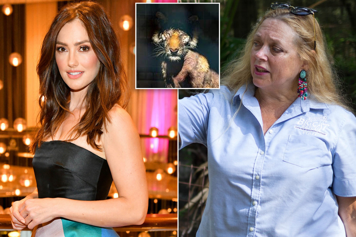 Minka Kelly urging balding tiger be released to wildlife sanctuary