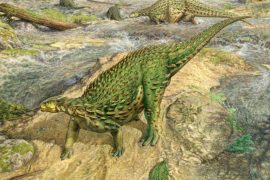 The only complete dinosaur skeleton ever discovered has finally been assembled – BGR