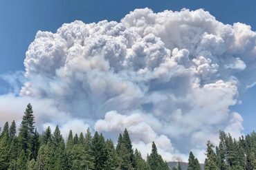 Creek fire: Campers warn to seek shelter as wildfires spread in northern California