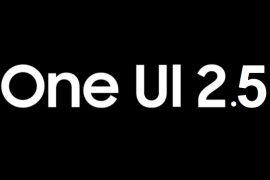 Samsung One UI 2.5 Update Tracker: Tools Available So Far