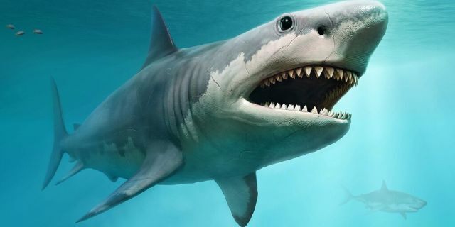Megalodon from prehistoric 3D imagery (Credit: Icestock)