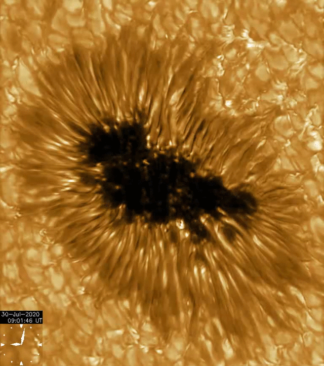 Animation of the sunspot seen through the Gregorian telescope.