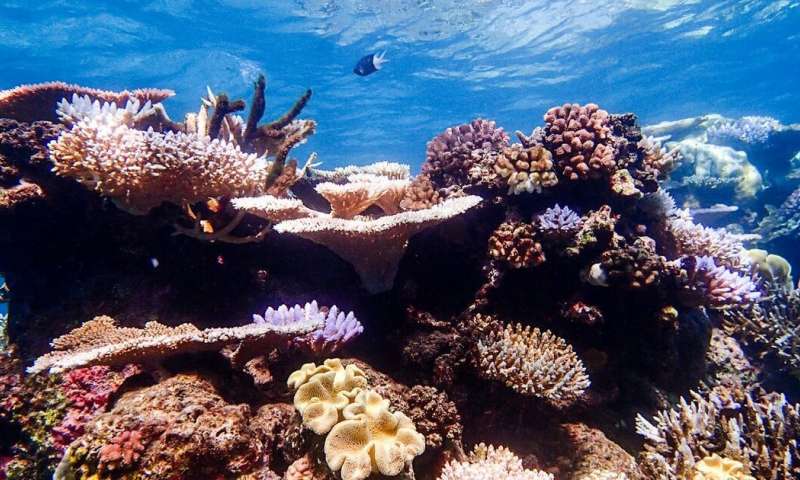 The first step in protecting the Great Barrier Reef is to understand ...