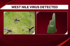 West Nile virus was first detected in New Hampshire this season