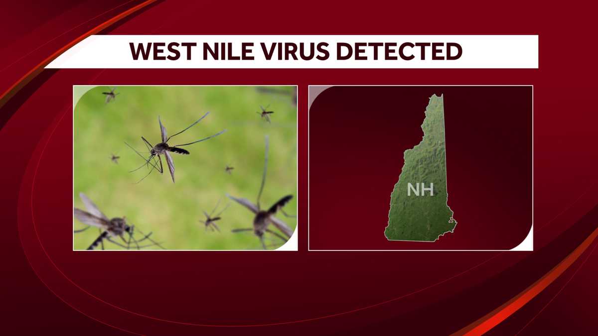 West Nile virus was first detected in New Hampshire this season

