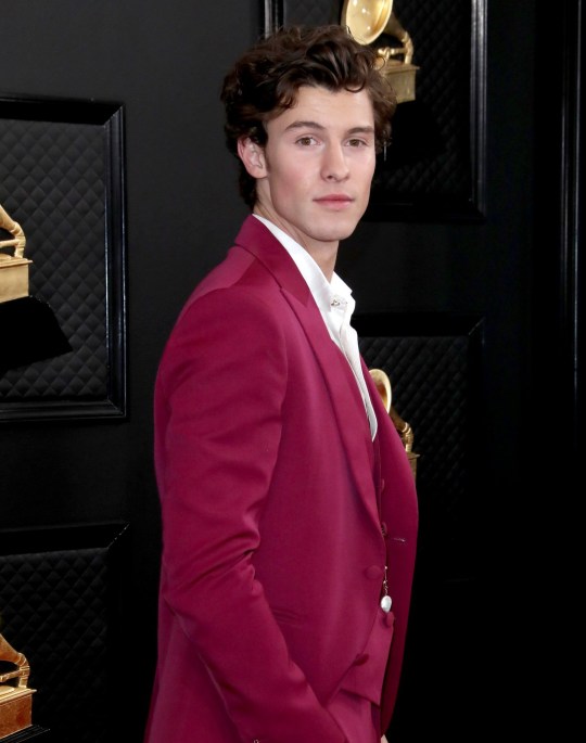 Shawn Mendis 62nd Annual Grammy Awards, Arrival, Los Angeles, USA - 26 January 2020