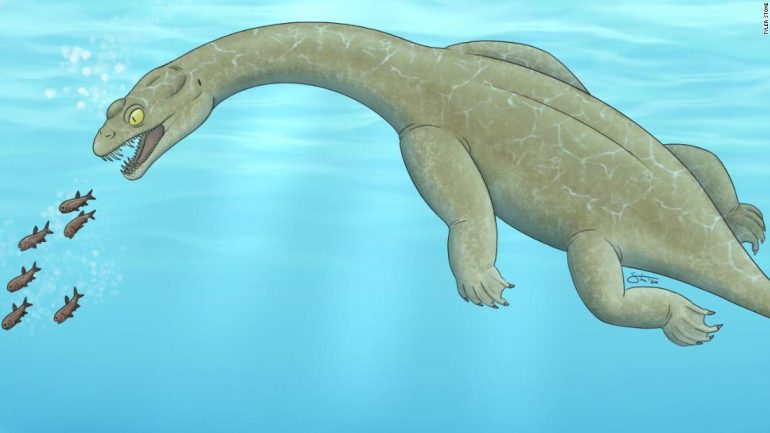 The newly discovered triassic lizard floats underwater to pick up prey