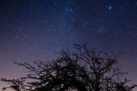 Draconid meteor shower: how it will look and when it will rise