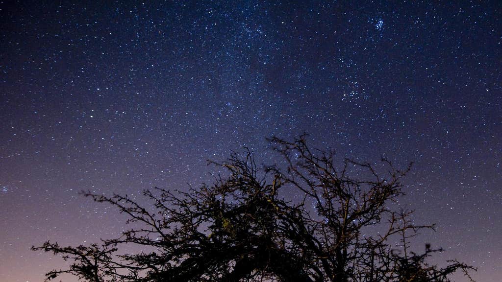 Draconid meteor shower: how it will look and when it will rise


