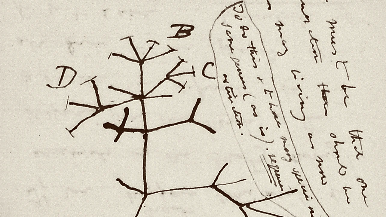 Darwin notebooks, invisible, now believed to have been stolen: NPR

