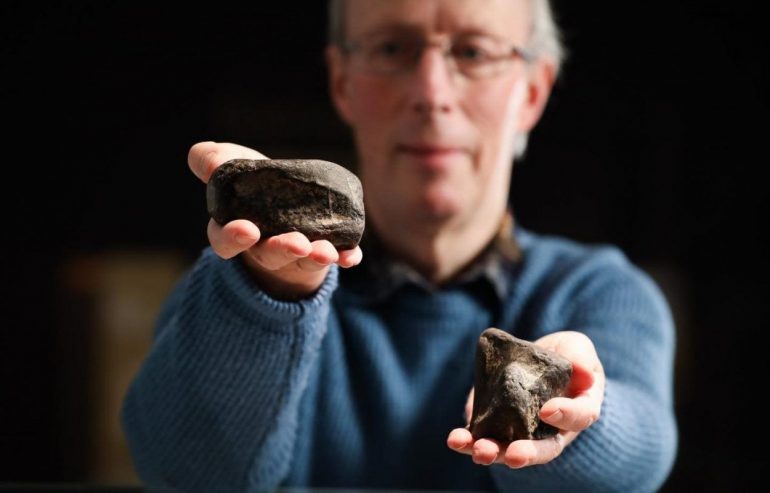 The only dinosaurs in Ireland found in Antrim - Heritage Daily
