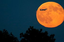 Full moon for Halloween 2020: Rare blue moon to illuminate the sky