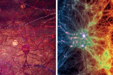 The human brain carries a spectacular return to the universe