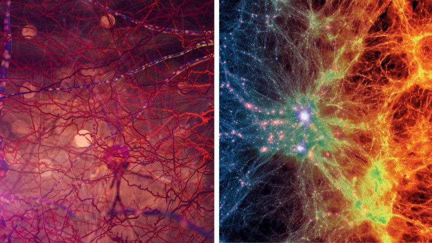 The human brain carries a spectacular return to the universe

