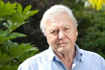 Weeks after joining, David Attenborough leaves Instagram
