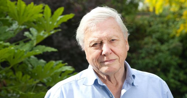 Weeks after joining, David Attenborough leaves Instagram