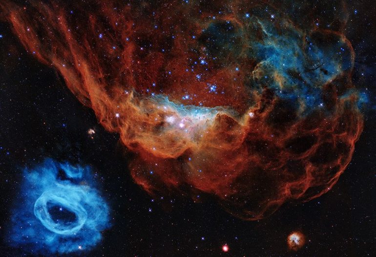Na sliki je velikanska meglica NGC 2014 in sosednja NGC 2020