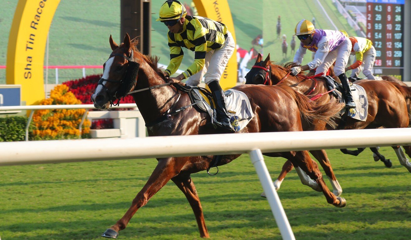 On November 1, Shah Tin won a strong victory over 1,000 meters.