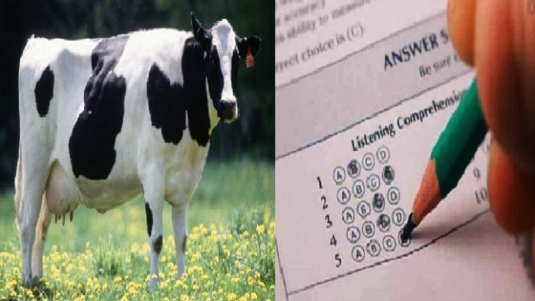 national Cow Science exam