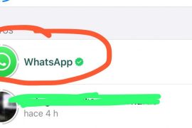 Have you already seen WhatsApp statuses in your app?  Look at them before deactivating them, they are related to your privacy