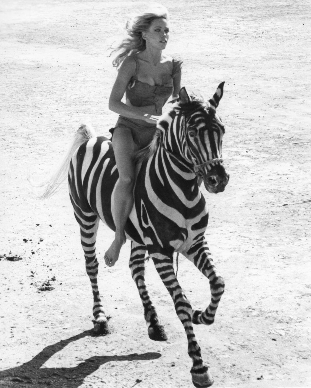 Tanya Roberts drives a zebra "Queen of the Jungle".  [OLUMBIA PICTURES - PHOTO12 VIA AFP]