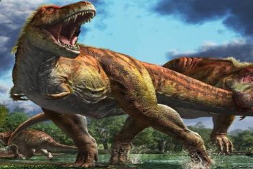This is how the dinosaur species became extinct: that object that came from the sky - shocking information to scientists!  |  Dinosaur species may become extinct due to a chixulab impact: Scientists!