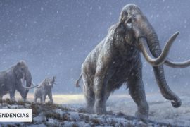 They recover the world's oldest DNA from the remains of mammoths more than a million years old |  Technology
