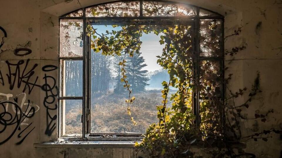 Abandoned places attract their atmosphere.