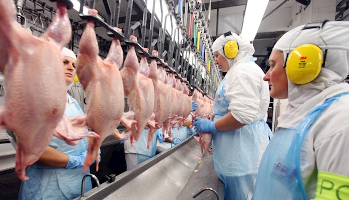 Azerbaijan suspends imports of poultry products from the Czech Republic, Germany, England and Bulgaria


