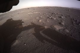 Watch exciting new videos from Rover