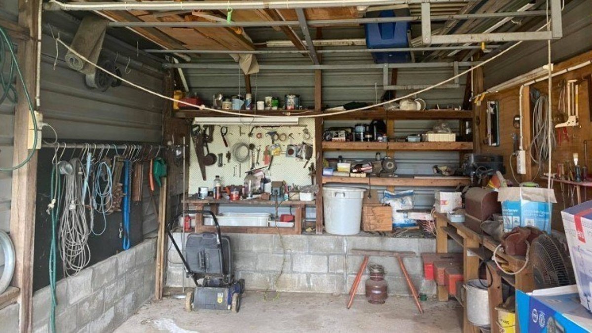   Python, hidden in a garage, rejects the Internet.  Can you find her?  |  Extraordinary world

