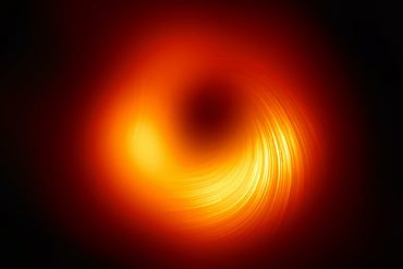 חור שחור המצולם באור מקוטב, וחושף את השדות המגנטיים שלו. שותפות טלסקופ אופק האירועים (EHT)