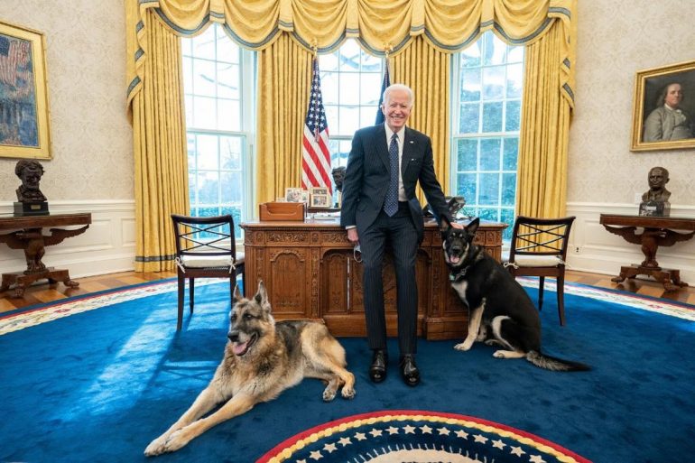 Biden's dog causes minor injury to White House agent |  The world