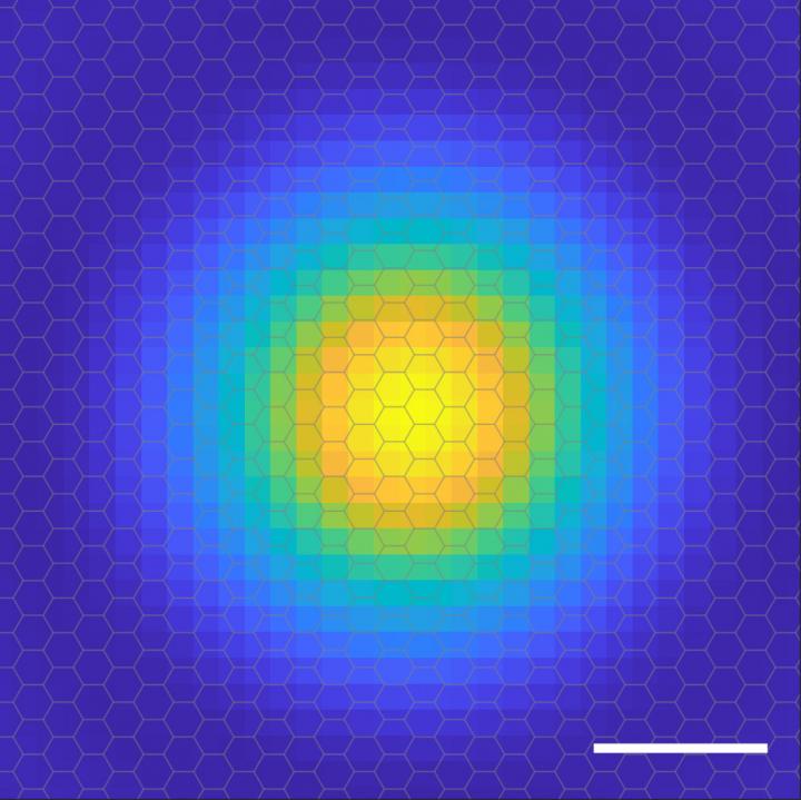 Scientists copy the first image of the orbit of an electron inside an exitone