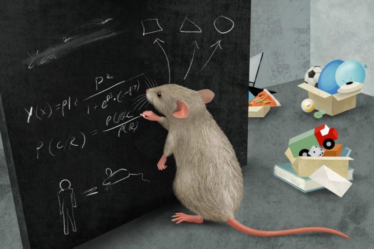 Master Summary of Rats and Complex Thinking Trends21