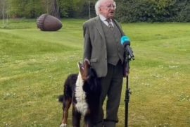 Irish president's dog's respect goes viral during an interview (video)