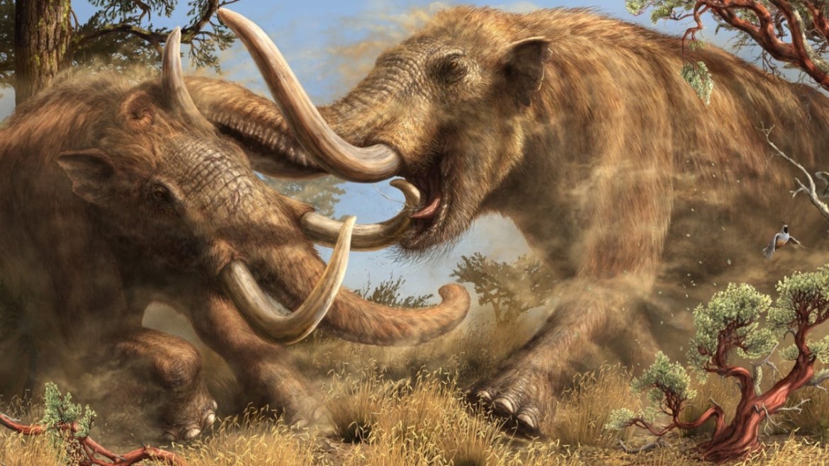 A mastodon fossil has been found in California. 
