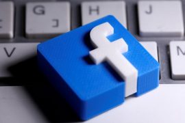 Facebook fails to block Irish regulator probe - Business
