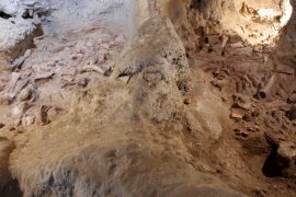 Unusual remains of hominids and animals have been found in an Italian cave