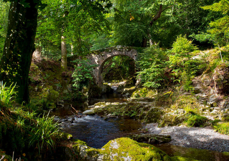 Forests and baths to bathe the forests of Ireland