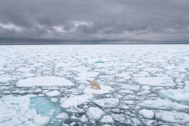 Arctic exploration: "The slope of irreversible global warming may already be over"  Environment