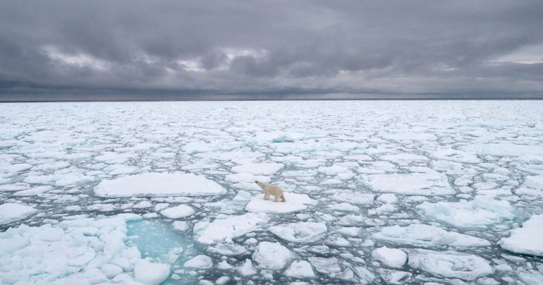 Arctic exploration: "The slope of irreversible global warming may already be over"  Environment
