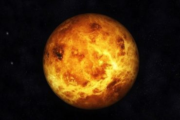 Discovery of tectonic mass on Venus
