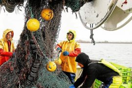 Fishing: Flexible Agreement with the United Kingdom - Economy
