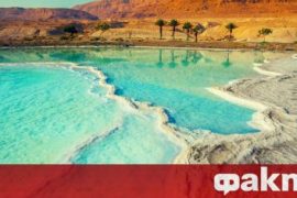 Scientists make a unique discovery in the Dead Sea - news from ak Fakti.bg - Curiosity