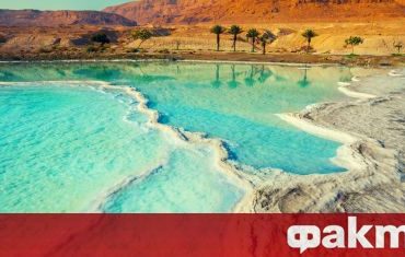 Scientists make a unique discovery in the Dead Sea - news from ak Fakti.bg - Curiosity