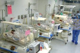 Ten twins born in South Africa: record birth - Corriere.it