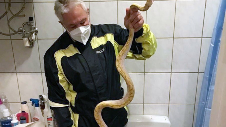 Snake specialist Werner Stangle catches a snake that bit someone sitting in the toilet.