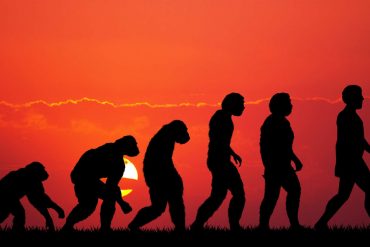 L'évolution de l'Homme implique bien plus qu'une seule lignée, la récente définition de l'espèce Homo longi en est la preuve. © adrenalinapura, Fotolia